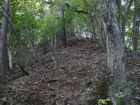 20151014hike (123)